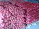 Winter resistant table potatoes for sale