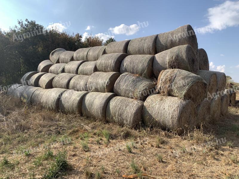 Lucerne hay bale 130 cm