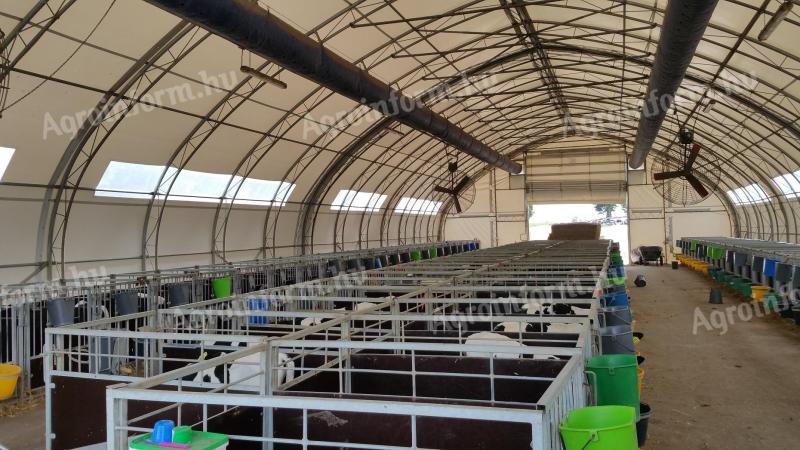 Animal hall with feeding alley, cattle shed, sheepfold, with building permit