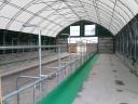 Animal hall with feeding alley, cattle shed, sheepfold, with building permit