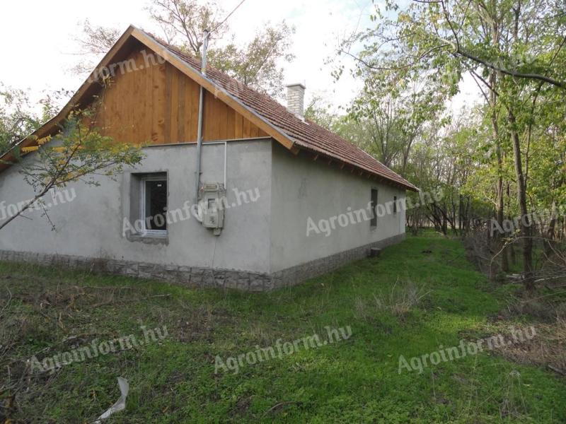 Renovated farmhouse for sale in Balotaszállás