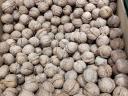 For sale premium walnuts in shell action 1300 Ft/kg. I will send it by GLS courier. 2-3 working days