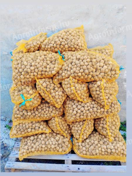 Premium walnuts in shell M34 ferro thin paper shell for 1300 Ft/kg. I post with GLS courier