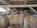 High quality cubes of meadow hay for sale indoors, even transported