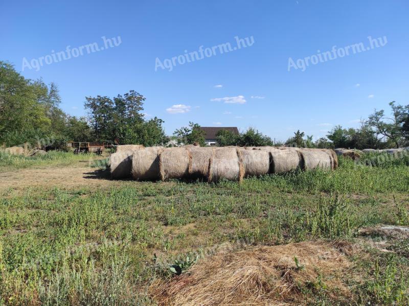 Reticulated round bales for sale