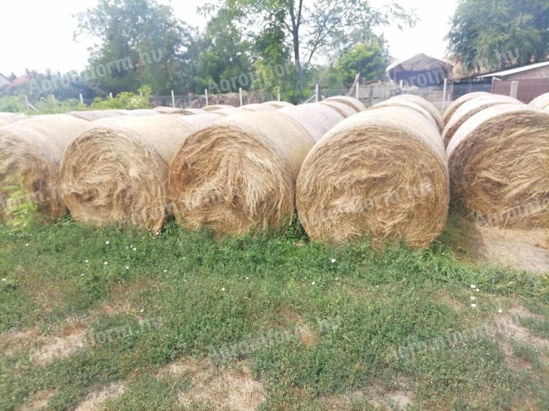 Turf and hay