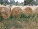 Turf and hay