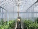 Greenhouse, working nursery