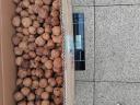 Shell nuts for sale at 1300 Ft/kg. I deliver by GLS courier, order 300 kg in one