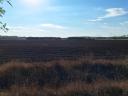 Arable land for sale 14,5 ha