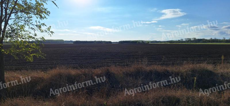 Arable land for sale 14,5 ha