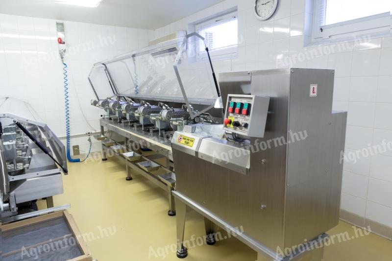 Automatic machines for the production of pasta "Goose-goose" for sale