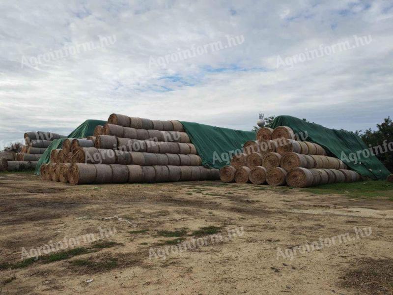 Hay, straw, alfalfa bales for sale