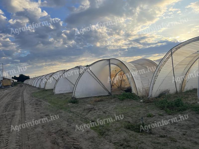 Šotor iz folije za prodajo