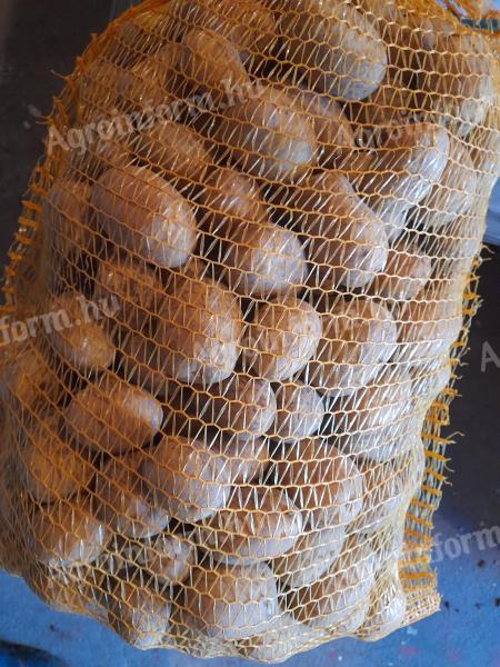 Seed size Marabel potatoes