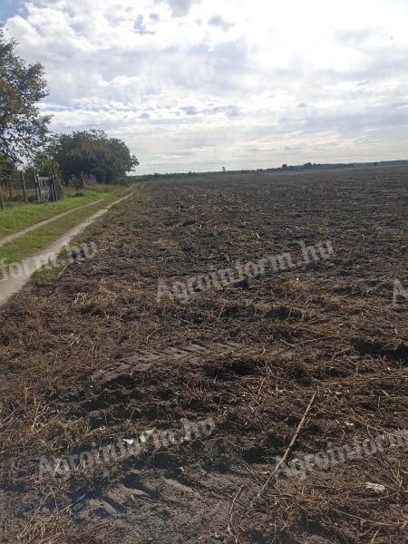 5 private Gartengrundstücke zum Verkauf in Dunavecs