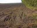 5 private Gartengrundstücke zum Verkauf in Dunavecs