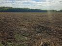 1.4 ha of arable land for sale in Solti