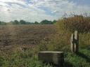 1.4 ha of arable land for sale in Solti