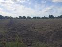 1.4 ha of arable land for sale in Solti