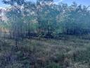 16 ha of forest for sale with winning bid