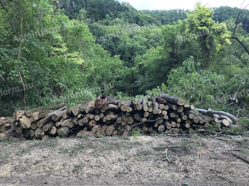 Firewood, poles, logs for sale