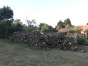 Firewood, poles, logs for sale