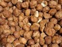 Hazelnuts, Roman variety for sale