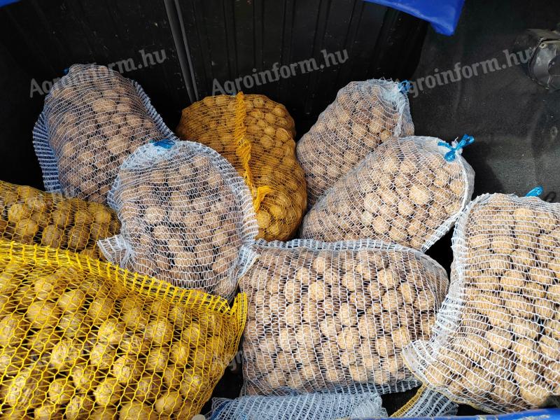 Nuci în coajă de vânzare 1000 Ft/kg