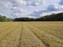 9 ha of arable land for sale in Somogy county