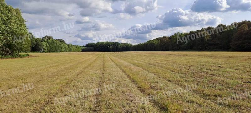 9 ha gruntów ornych na sprzedaż w powiecie Somogy