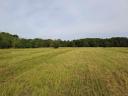 11 ha pasture, meadow for sale in Somogy county