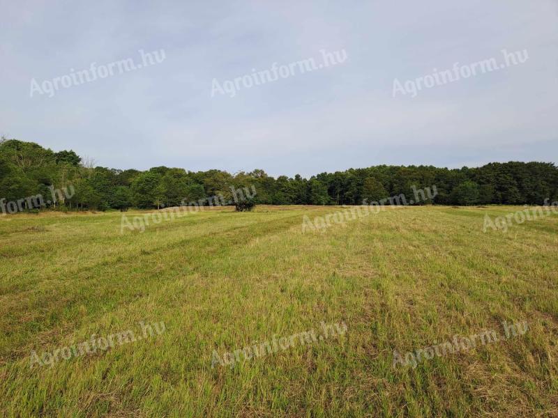 11 ha pasture, meadow for sale in Somogy county