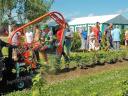 JAGODA ZUZA 3 HYDRAULIC WEEDER FOR VEGETABLES - ROYAL TRACTOR