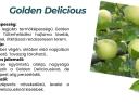 Goldener Apfel