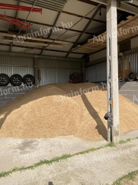 Sand oats for sale