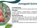 Jonagold Schneika