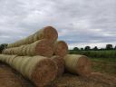 Straw bales, wheat for sale