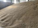 Barley 415 tonnes for sale