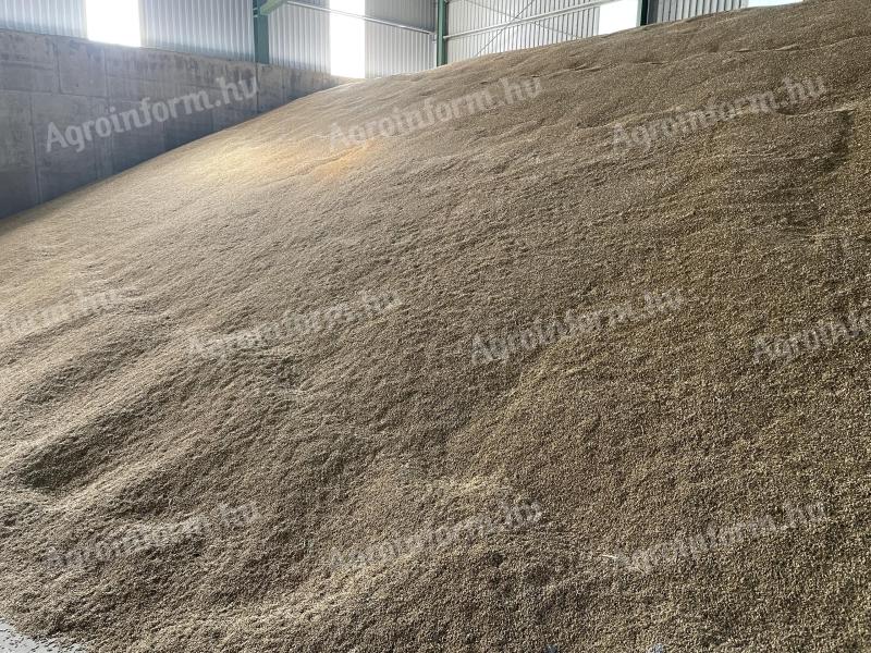 Barley 415 tonnes for sale