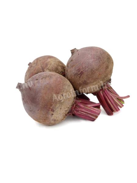 Beetroot for pickling for sale