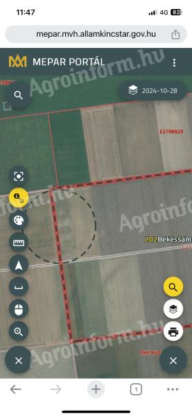 Arable land for sale in Békéssámson