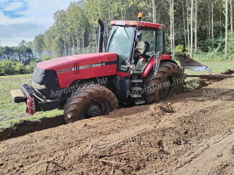 Traducerea profundă a silviculturii