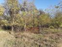 3 hectares of grassland, pasture for sale in Kiskunhalas, Alsószállás