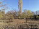 3 hectares of grassland, pasture for sale in Kiskunhalas, Alsószállás