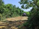 Forestry brush cutting, crushing