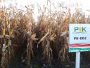 PK-002 Organic corn pre-order SPECIAL OFFER - For Rekorderek