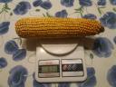 PK-002 Organic corn pre-order SPECIAL OFFER - For Rekorderek