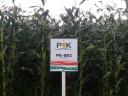 PK-002 Organic corn pre-order SPECIAL OFFER - For Rekorderek