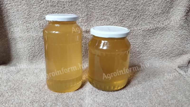 Natural, chemical free, non-heat treated acacia honey for sale 2.200 Ft